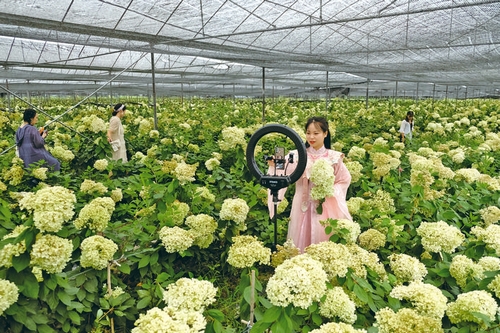 花卉产业引爆当地旅游