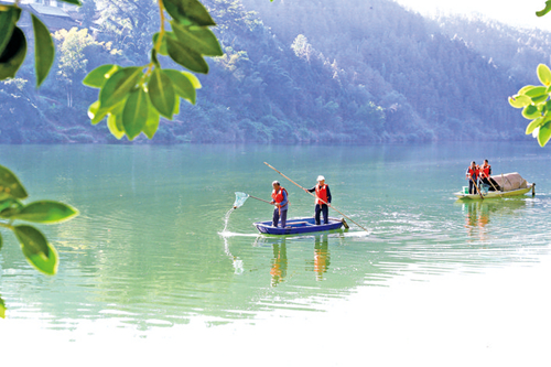 聚焦责任落实  守护绿水青山