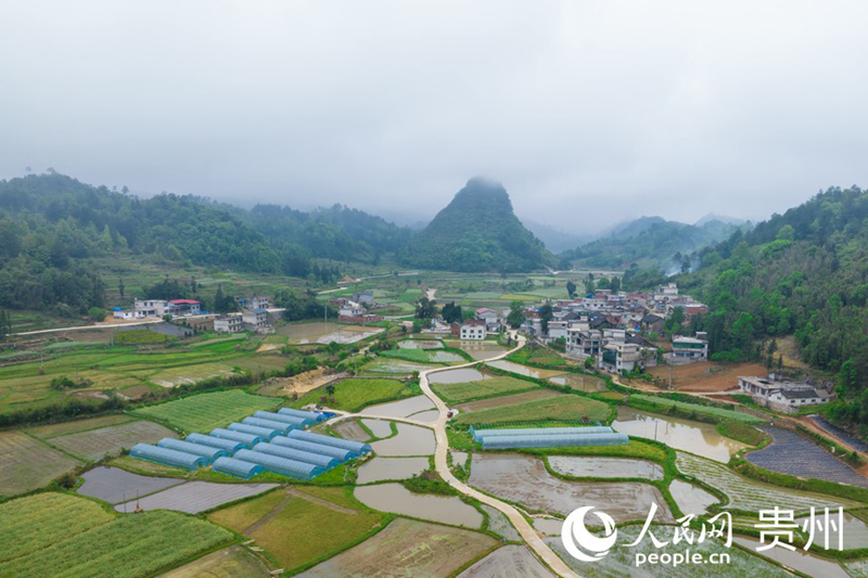 独山：不负春日好时光 山村大棚育苗忙 黔东南新闻网 