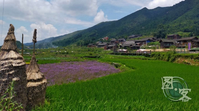 漫游青曼