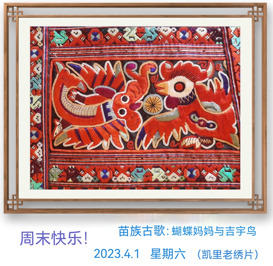 杨秀银：  每日一“绣”问早安