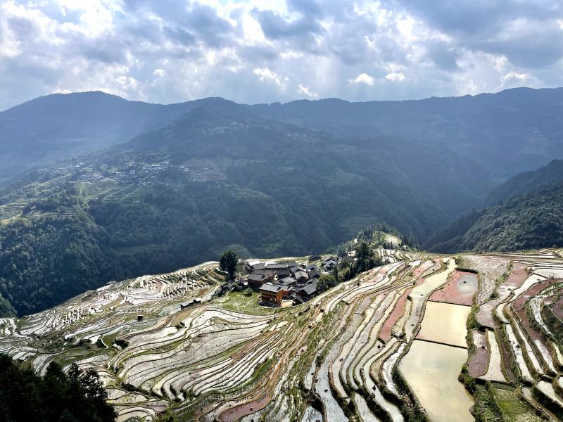 从江：打造乡村产业升级新样板