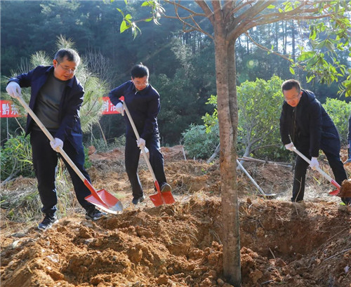 黔东南州与全省同步开展2024年义务植树活动