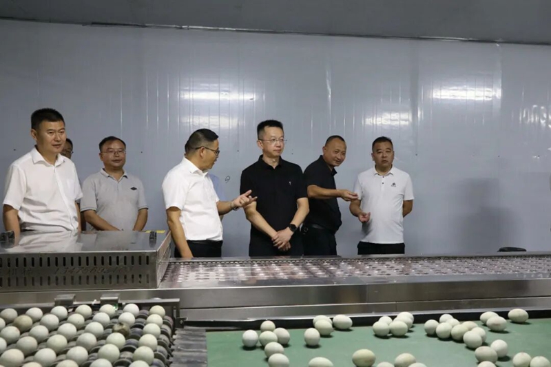 102.jpg