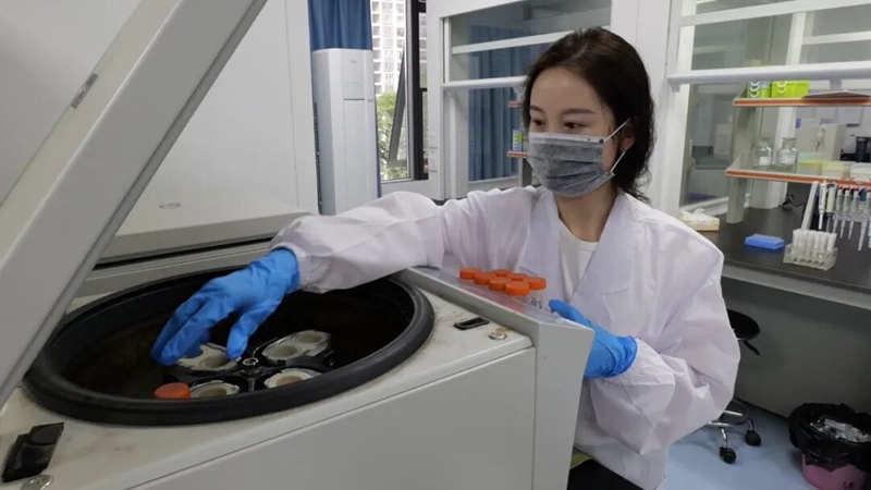 1006.jpg